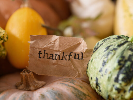 Pass the FLSA Sauce! 5 Employment Law Happenings That May Make You Thankful