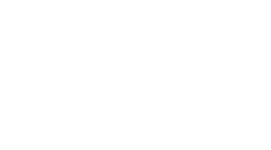 Norton Rose Fulbright logo